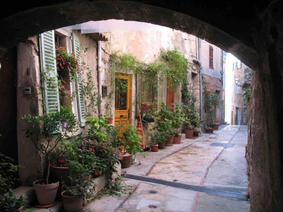 Studio Calme Et Agreable Avec Acces Jardin Partage Le Bar-sur-Loup Εξωτερικό φωτογραφία
